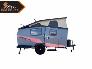 Cover Photo Used 2018 Taxa Cricket 9080
