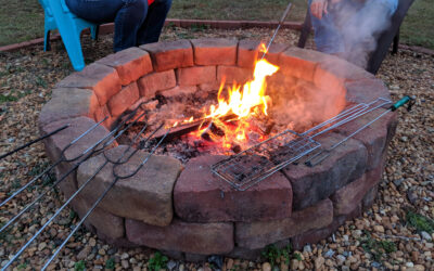 RV Camping for Beginners: Essentials, Which RVs, and More