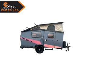 TAXA Cricket Trek 2018 - Used